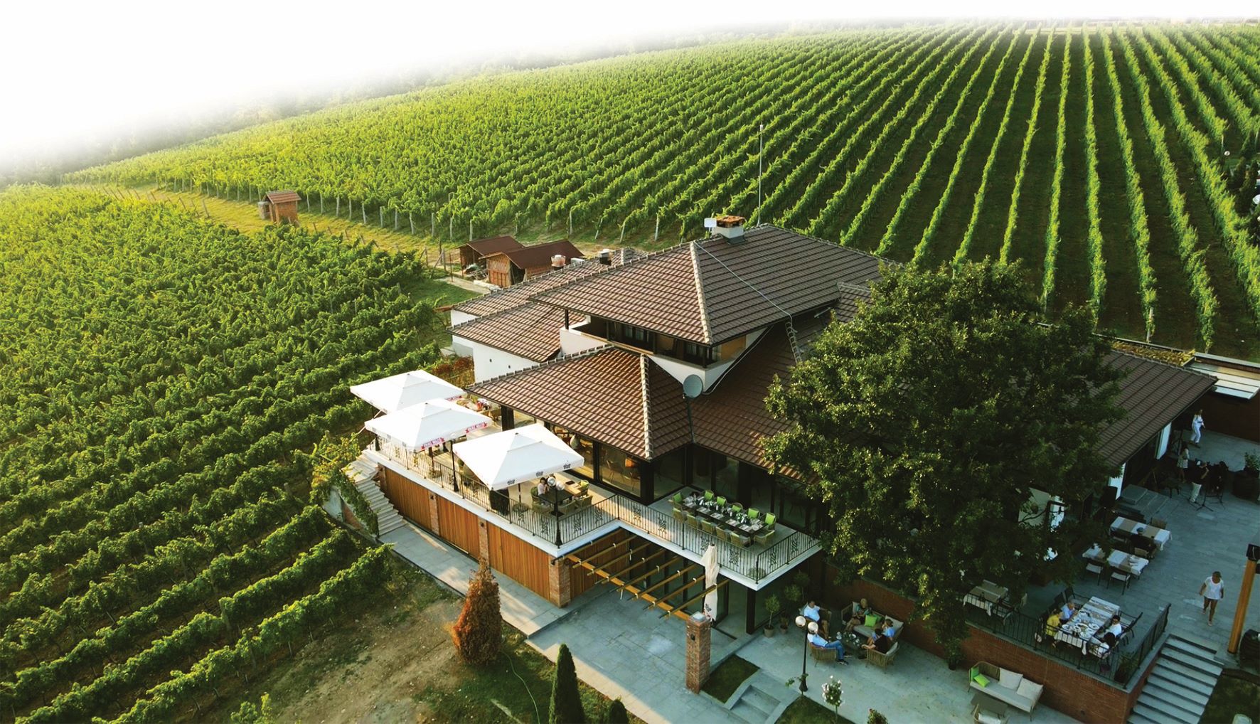 Tarpos Vinarija